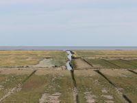 Vom Deich zur Nordsee, Weltnaturerbe Wattenmeer!